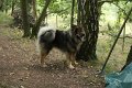 filou 20 (4)